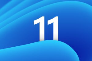 How to Get the Windows 11 24H2 Update