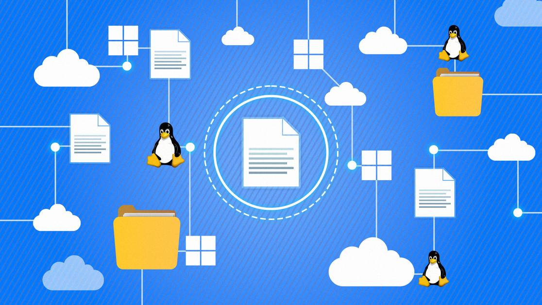 คำสั่ง Linux, แสดง, เส้นทาง, ไฟล์ Executable