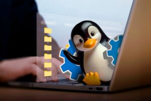 Working Directory, Linux, เชื่อมโยง