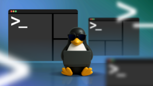 Wildcard, Linux, Terminal, ทักษะ, ขั้นสูง