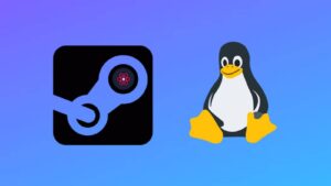 Proton GE, Linux, เกม, แตกต่าง