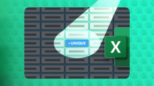 ใช้ฟังก์ชัน UNIQUE ใน Excel