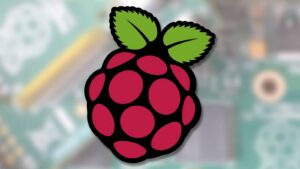 ราคาสูงขึ้น, Raspberry Pi